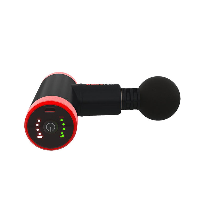 Pulseroll 4 Speed Mini Massage Gun