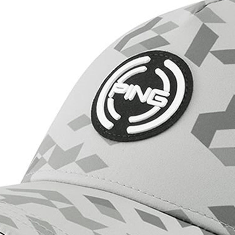 Ping Digital Cap - Silver