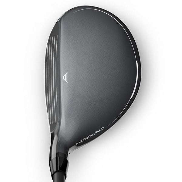 Wilson Launch Pad FY Hybrid